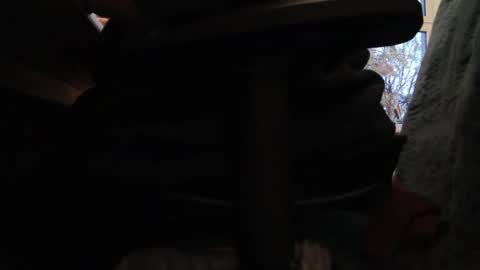 Fat Bernd online show from October 2025 03:51:01 PM