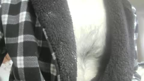 feardubh online show from February 2026 10:44:02 AM