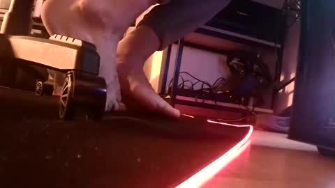 feetishman91 online show from March 2026 06:18:02 PM