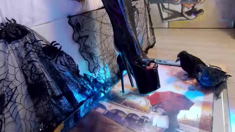 Snapshot of feetvibe chatting on October 2025 08:55:02 AM FeetVibe online show from October 2025 08:55:02 AM