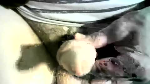 felicaste online show from March 2025 12:22:02 AM