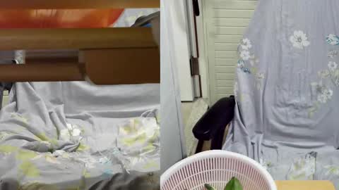 felixlau online show from February 2025 11:55:01 AM