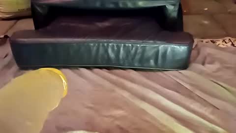 Snapshot of femboy710cum chatting on December 2024 11:24:01 PM femboy710cum online show from December 2024 11:24:01 PM