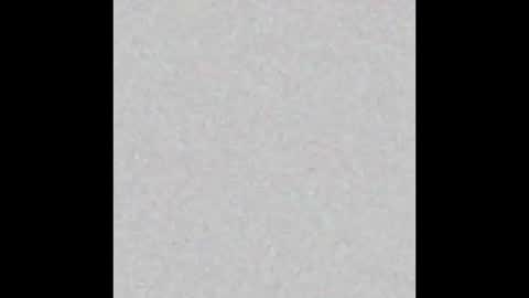 femboyfangs online show from December 2025 04:50:01 AM