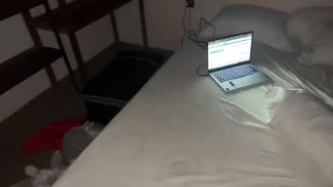 Dani online show from November 2025 08:30:01 PM