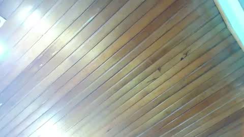Snapshot of fermartinsz chatting on July 2026 05:59:02 PM FerMartinsz online show from July 2026 05:59:02 PM