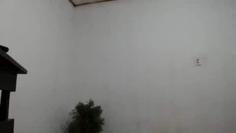 fernandez_latinblack online show from December 2024 04:20:01 AM