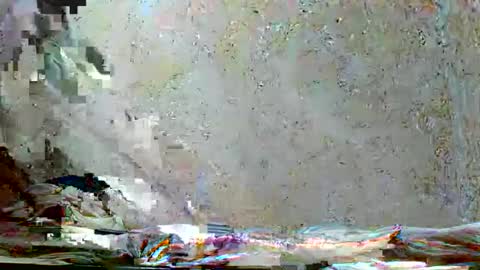 fernandez_latinblack online show from November 2025 10:31:01 AM