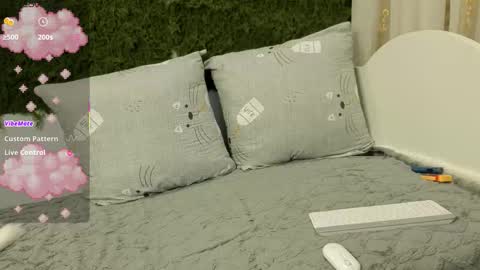 Snapshot of fiachand chatting on October 2025 10:43:02 PM Thomas online show from October 2025 10:43:02 PM