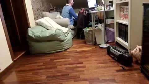 Fid online show from February 2025 08:58:01 PM