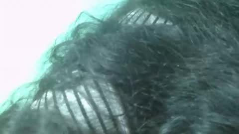 fifaalydia online show from November 2025 07:57:01 PM