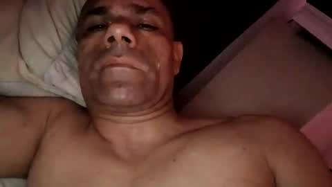 filedbc2024 online show from November 2025 04:36:01 AM