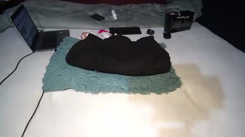 Rania online show from November 2025 08:46:02 AM