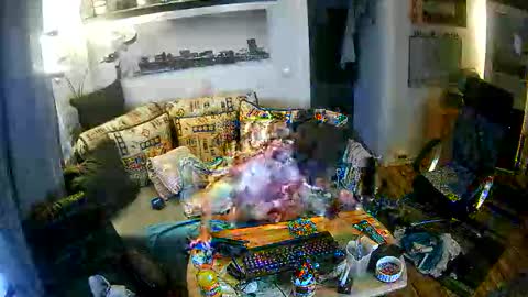 fips1981 online show from November 2025 06:56:02 AM