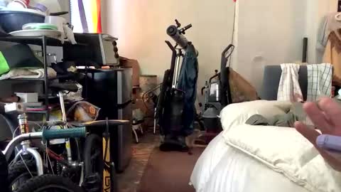 francis keith gibson online show from January 2025 02:03:01 PM