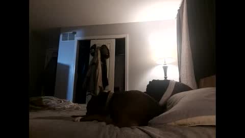 Snapshot of fkmylife6669 chatting on November 2025 04:48:01 AM Nate online show from November 2025 04:48:01 AM