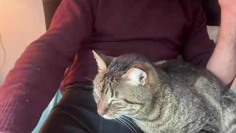 Snapshot of flametwin chatting on March 2026 02:01:01 PM firesoul online show from March 2026 02:01:01 PM