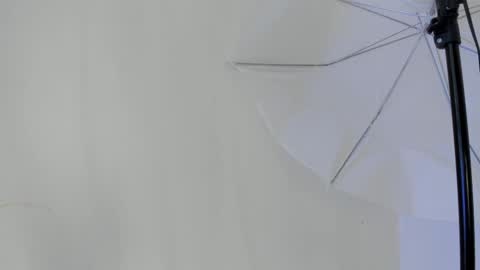 Flavia online show from January 2026 06:46:01 PM