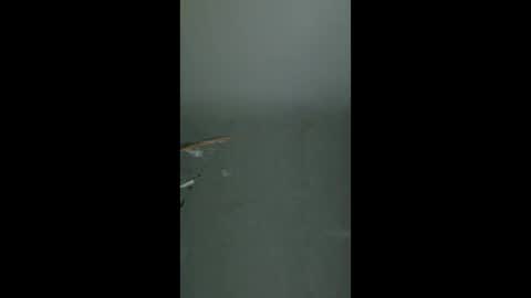 flavianflavius33 online show from April 2026 04:39:01 AM