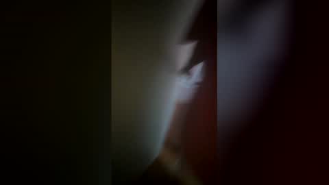 Ive Retired From Camming  online show from February 2026 08:04:01 PM