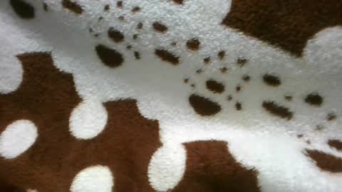 Snapshot of flora48230522373 chatting on June 2026 05:21:01 AM flora48230522373 online show from June 2026 05:21:01 AM