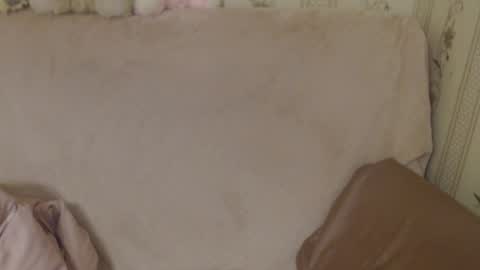 say meow and send tip  online show from May 2026 03:29:01 PM