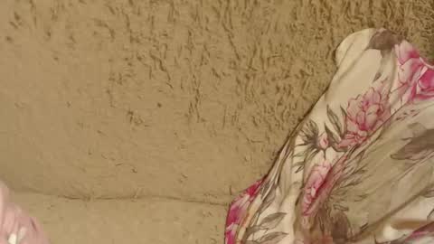 say meow and send tip  online show from September 2025 11:22:02 AM