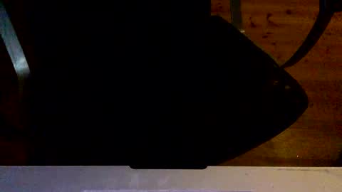 Snapshot of flowmover chatting on December 2024 08:33:01 PM flowmover online show from December 2024 08:33:01 PM