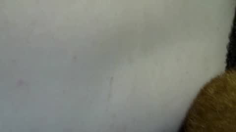 Snapshot of flufferbutt2 chatting on April 2026 10:24:02 AM flufferbutt2 online show from April 2026 10:24:02 AM