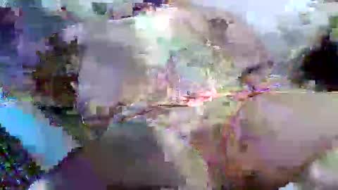 Snapshot of flufferbutt2 chatting on April 2026 05:13:01 AM flufferbutt2 online show from April 2026 05:13:01 AM