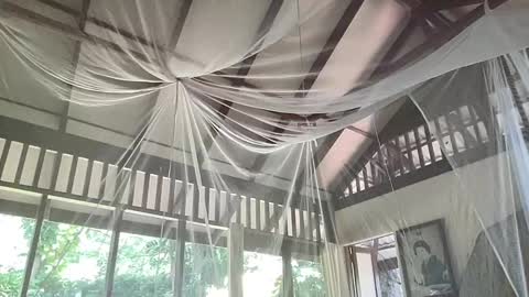 fluffy_bunnyxxx online show from February 2025 05:35:02 AM