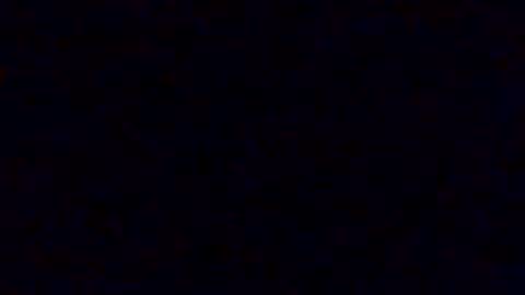fluffynutts online show from December 2024 06:37:02 AM