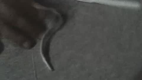 fonixxx69 online show from March 2026 03:21:02 AM