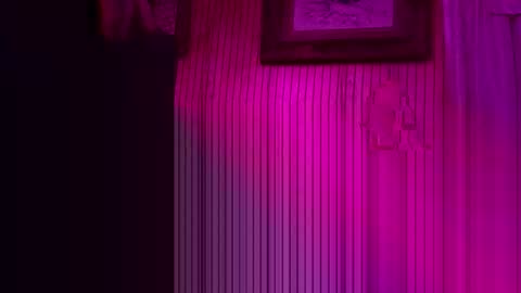 foxrun2 online show from February 2026 11:09:01 AM