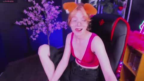 Polly online show from June 2026 05:35:01 AM