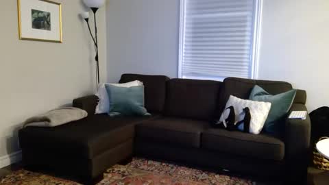 Foxy online show from October 2025 12:52:02 AM