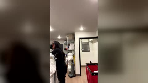 freakyylatinagoddess online show from January 2026 09:36:01 AM