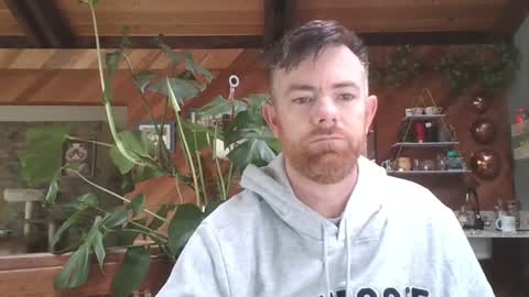 Freddy online show from January 2025 07:53:01 PM