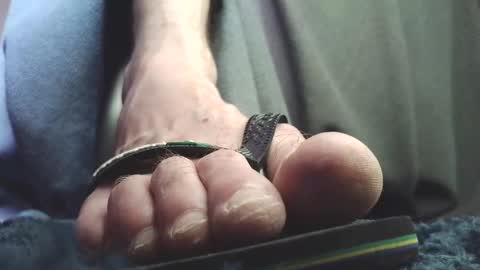 Greedy Fred online show from February 2026 02:13:01 PM