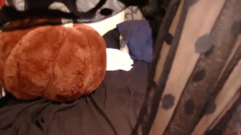 free4haul online show from September 2025 12:10:01 AM