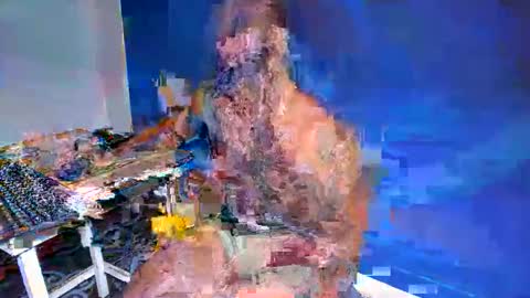 Snapshot of freedom_24 chatting on May 2026 04:01:02 PM shakur online show from May 2026 04:01:02 PM