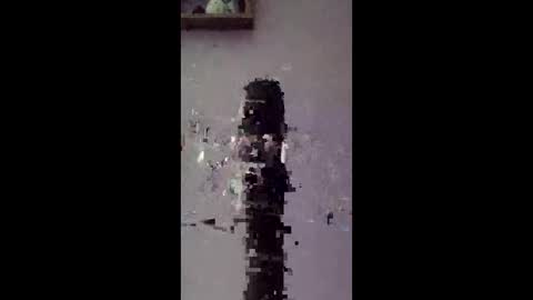 freelingling online show from January 2026 08:42:02 AM