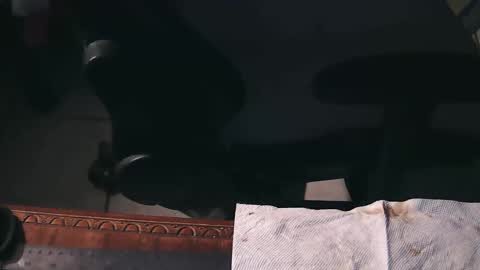 Snapshot of freetryal chatting on November 2025 02:21:01 AM freetryal online show from November 2025 02:21:01 AM