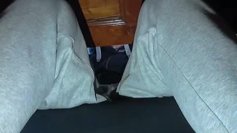 Snapshot of frenchpapalover chatting on October 2025 08:48:01 AM frenchpapalover online show from October 2025 08:48:01 AM