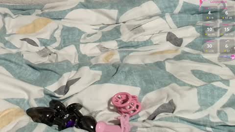 Meadow online show from February 2025 10:26:01 AM