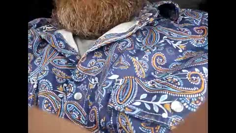 Frickish online show from January 2026 02:20:01 PM