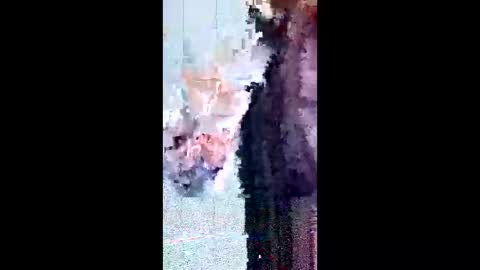 friendshipplus online show from February 2026 08:08:02 AM