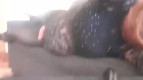 Pizzaz online show from December 2024 02:17:01 AM