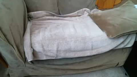 Snapshot of funlovinchub chatting on February 2026 06:33:02 PM funlovinchub online show from February 2026 06:33:02 PM