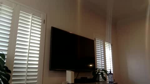 Snapshot of funtimes4us32 chatting on December 2024 04:32:02 PM Funtimes4us32 online show from December 2024 04:32:02 PM